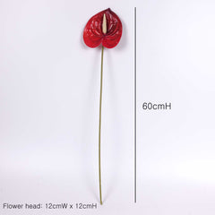 Anthurium Stem Red 60cmH