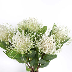 Leucospermum Pincushion Stem 48cmH