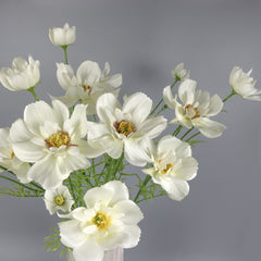 Big Heads Cosmos Flower Cream 78cmH