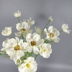 Big Heads Cosmos Flower Cream 78cmH