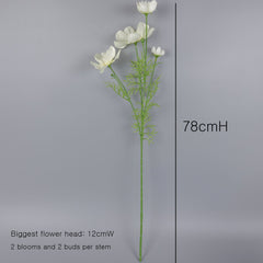Big Heads Cosmos Flower Cream 78cmH