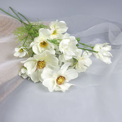 Big Heads Cosmos Flower Cream 78cmH