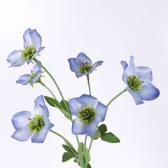 Artificial Hellebore Spray 60cmH in Blue