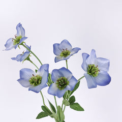 Artificial Hellebore Spray 60cmH in Blue