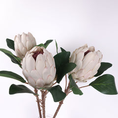 Artificial Queen Protea Stem 66cmH