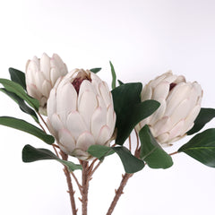 Artificial Queen Protea Stem 66cmH