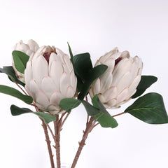 Artificial Queen Protea Stem 66cmH