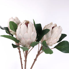 Artificial Queen Protea Stem 66cmH