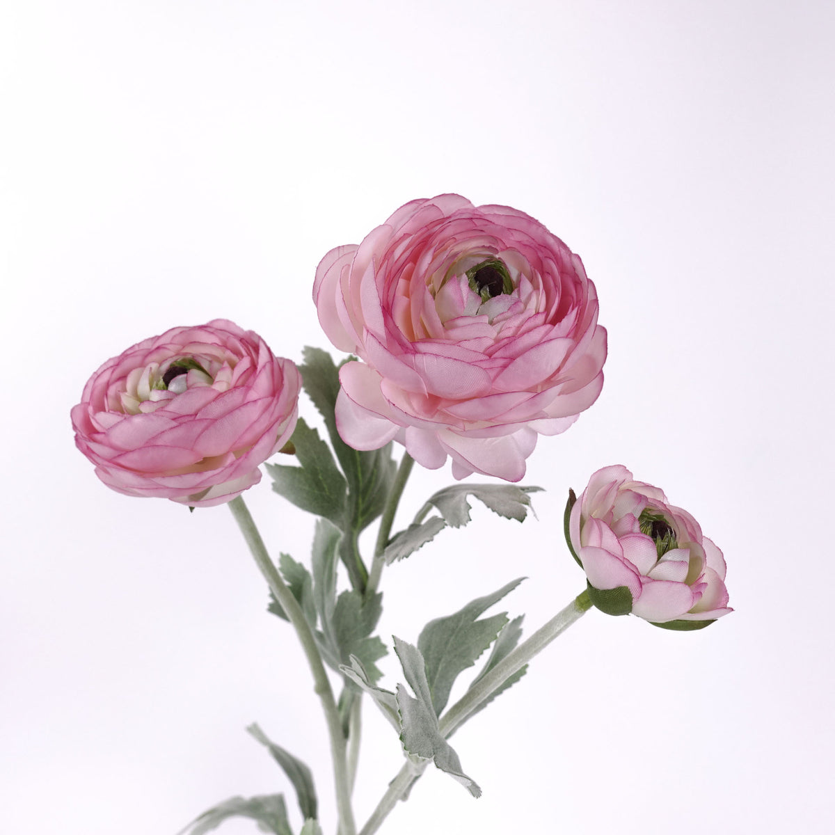 3 Head Ranunculus Stem in Rose Pink 50cmH