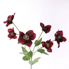 Artificial Hellebore Spray 60cmH in Burgundy