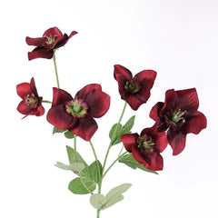 Artificial Hellebore Spray 60cmH in Burgundy