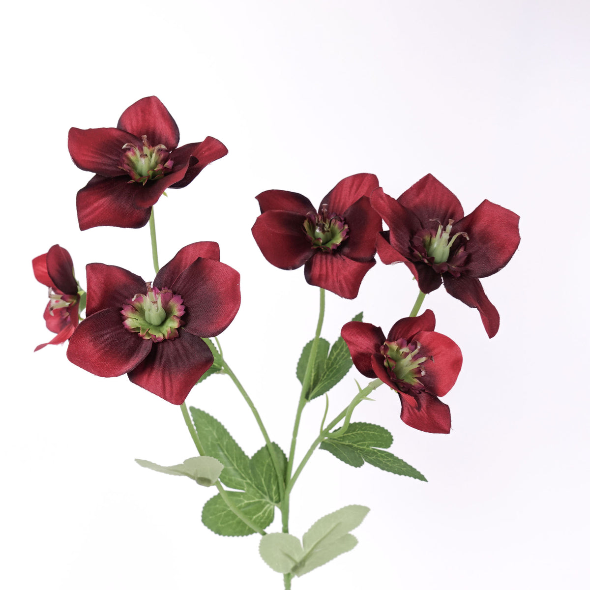 Artificial Hellebore Spray 60cmH in Burgundy