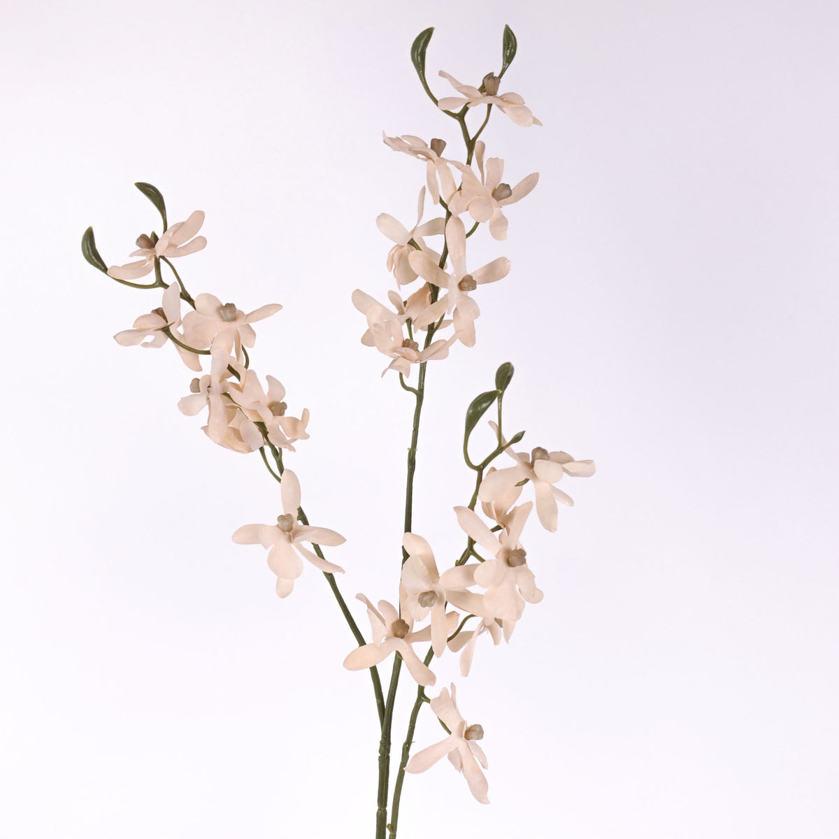 Butterfly Orchid Long Stem 73cmH