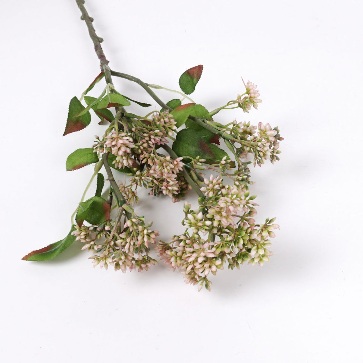 Skimmia Spray in Pink Green 58cmH