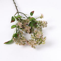 Skimmia Spray in Pink Green 58cmH