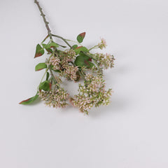 Skimmia Spray in Pink Green 58cmH