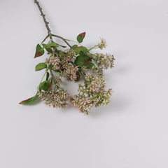 Skimmia Spray in Pink Green 58cmH