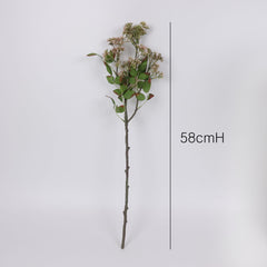 Skimmia Spray in Pink Green 58cmH