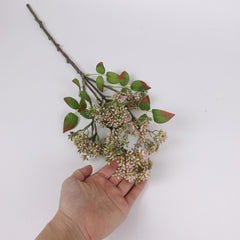 Skimmia Spray in Pink Green 58cmH