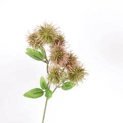 7 Heads Thistle Spray 40cmH
