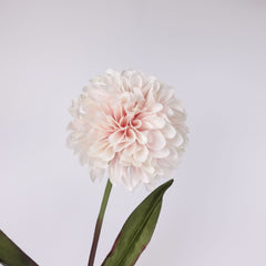 Big Head Dahlia Flower Stem 68cmH