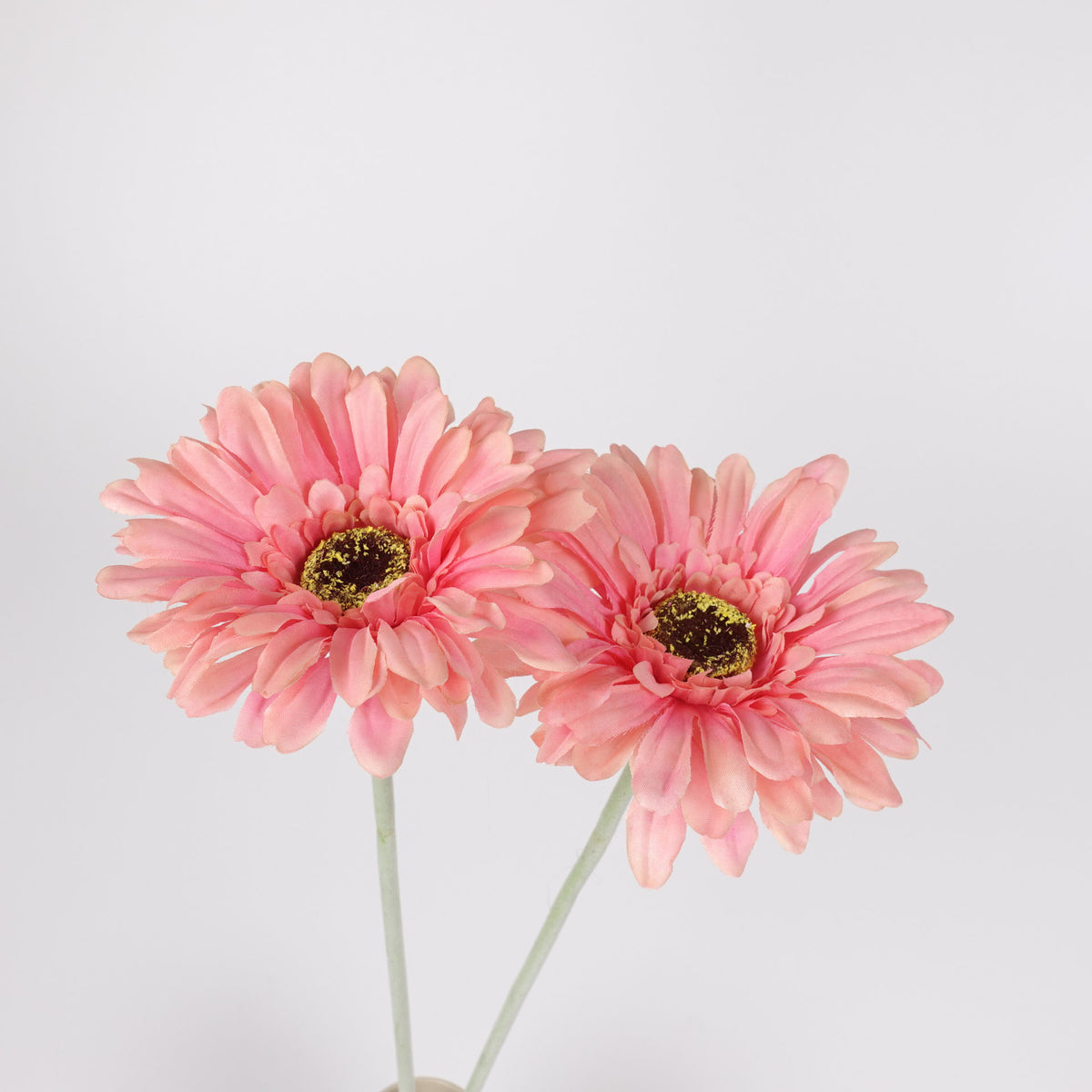 2pcs Gerbera Flower Stem