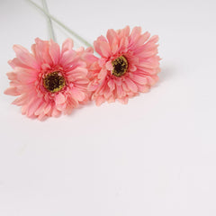 2pcs Gerbera Flower Stem