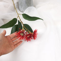 3 Full Bloom Eucalyptus Flowering Gum Spray Red