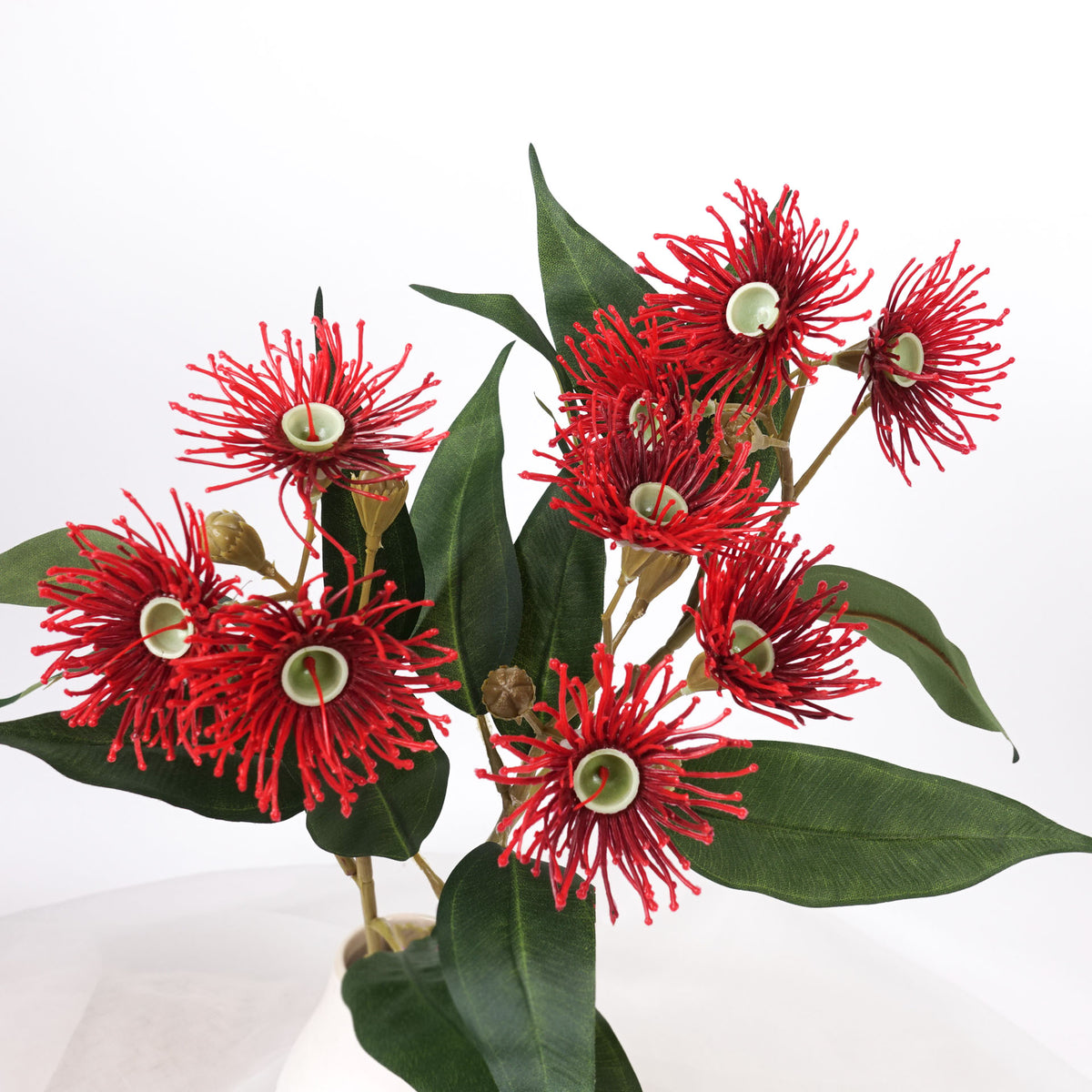 3 Full Bloom Eucalyptus Flowering Gum Spray Red