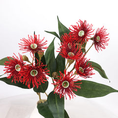 3 Full Bloom Eucalyptus Flowering Gum Spray Red