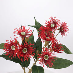 3 Full Bloom Eucalyptus Flowering Gum Spray Red