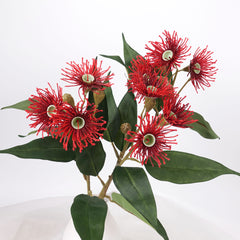 3 Full Bloom Eucalyptus Flowering Gum Spray Red