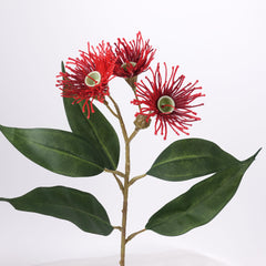 3 Full Bloom Eucalyptus Flowering Gum Spray Red