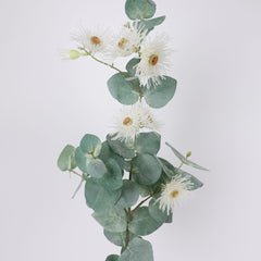 Eucalyptus Flowering Blossom Spray