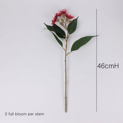 3 Full Bloom Eucalyptus Flowering Gum Spray Red