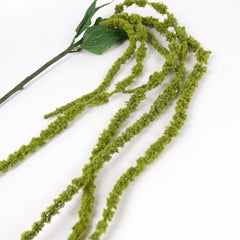 Amaranthus Stem in Green
