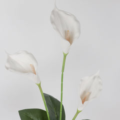 3 Heads Calla Lily Stem 85cmH