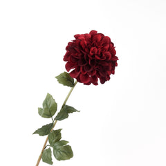 Dahlia Flower Stem Burgundy 57cmH