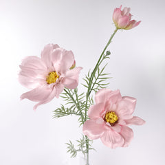 Big Heads Cosmos Flower Pink 78cmH