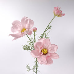 Big Heads Cosmos Flower Pink 78cmH