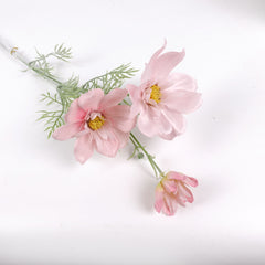 Big Heads Cosmos Flower Pink 78cmH