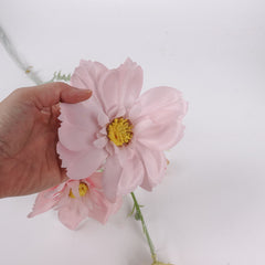 Big Heads Cosmos Flower Pink 78cmH
