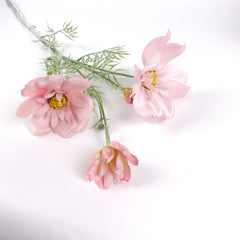 Big Heads Cosmos Flower Pink 78cmH