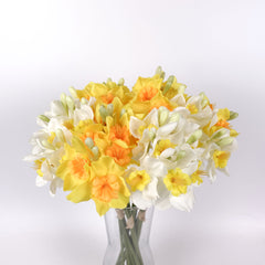 3 Stems Yellow Daffodil Flower Bunch 46cmH