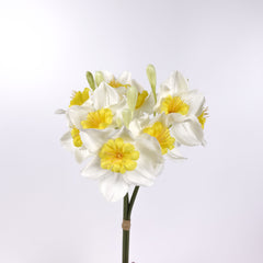 3 Stems White Daffodil Flower Bunch 46cmH