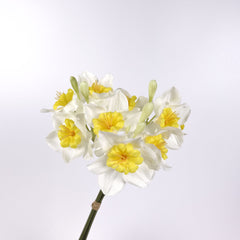 3 Stems White Daffodil Flower Bunch 46cmH