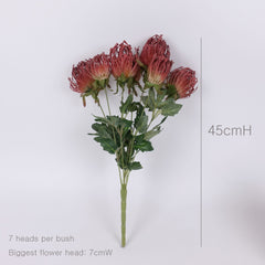 7 Heads Leucospermum Pincushion Bush 45cmH