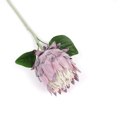 Protea Flower Bloom 62cmH