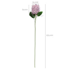 Protea Flower Bloom 62cmH