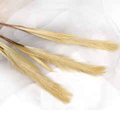 Artificial Brown Pampas Stem 